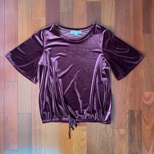 LOFT velvet blouse